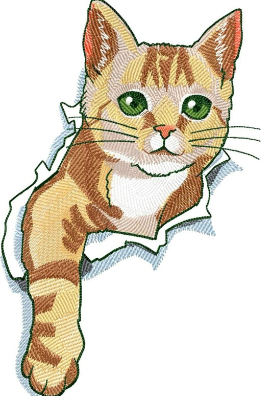 قط بنمط تطريزلطيف - تصميم قط، ملف تطريز آلي